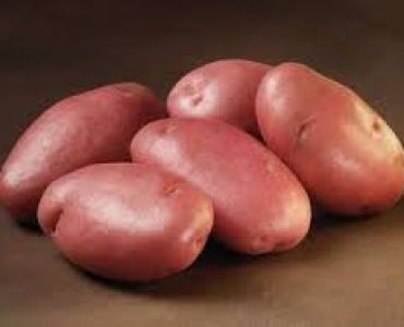 семе червени картофи Стемстер (5 кг)